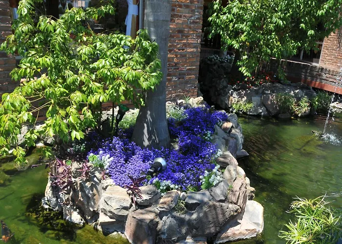 Hotel Jardines De Dayman