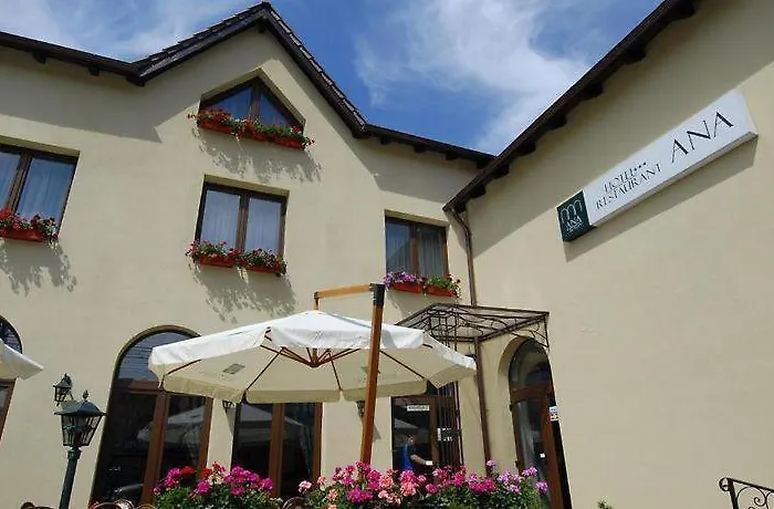Hotel Ana