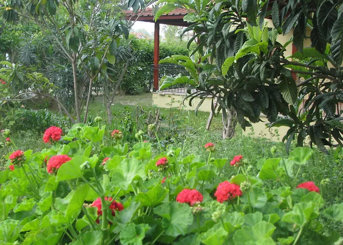 Alize Hotel