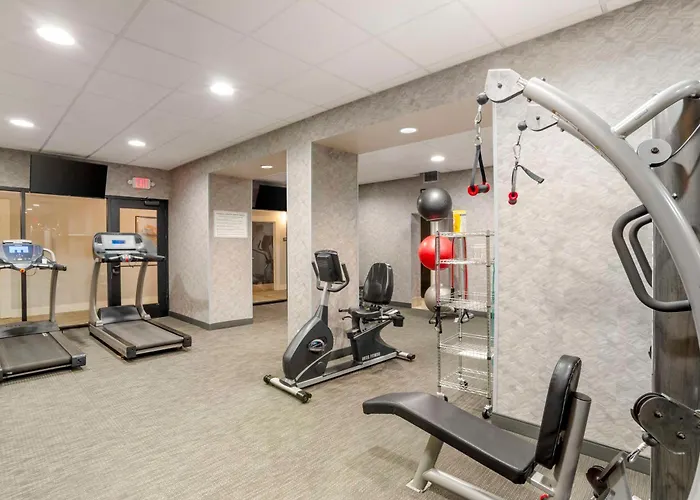 Best Western Plus Greenville I-385 Inn & Suites