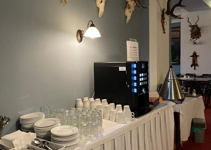 Hotel Cerny Orel Zatec