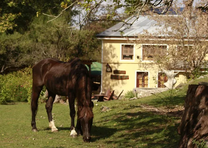 Complejo Rural El Rincon