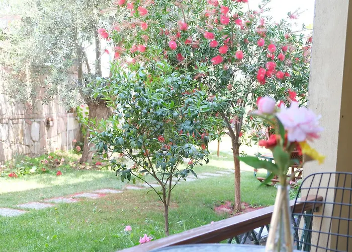 Strandhotels in Ayvalı