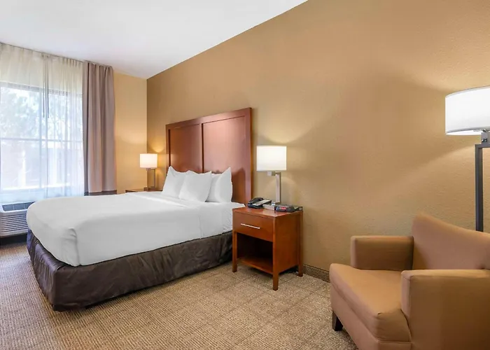Comfort Inn & Suites Northeast - Gateway