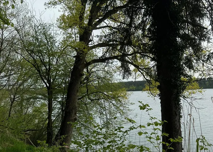 Waldwerk Wurlgrund Lychen