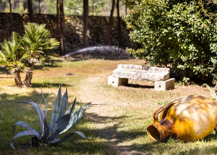 Tenuta Santicuti