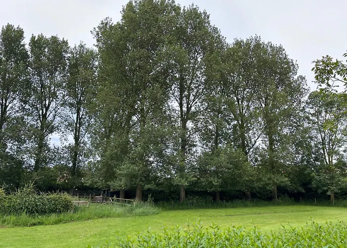 Het Zilte