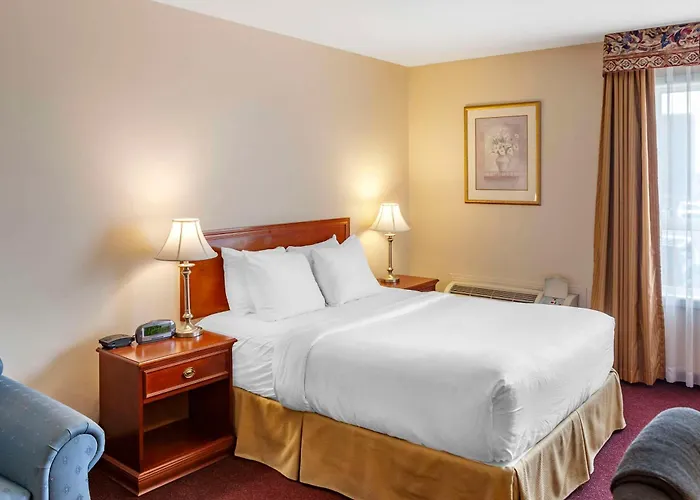 Quality Inn & Suites Edmonton International Airport