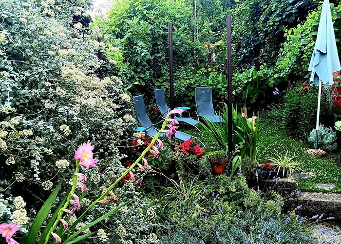 Apartment Sea Garden