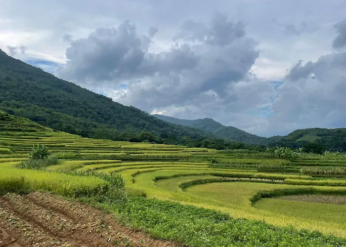 Pu Luong Jungle King 1 Homestay