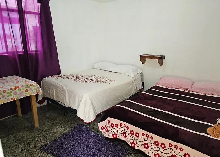 Hostal The Friends