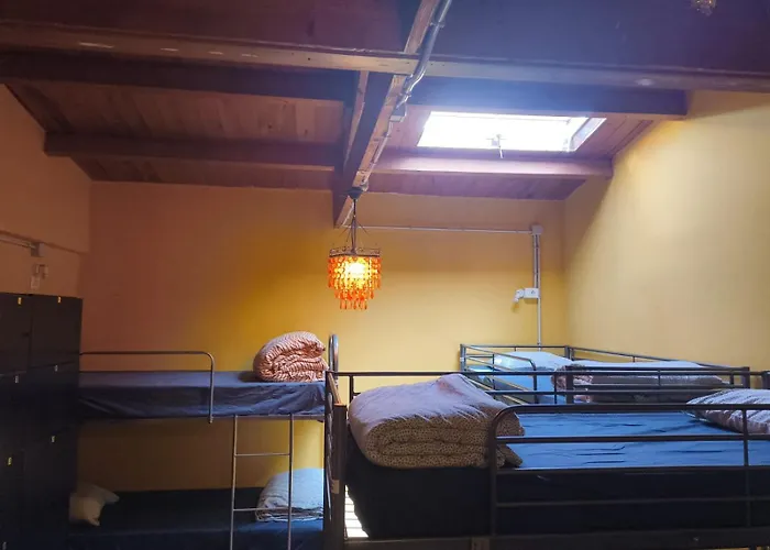 Los Amigos Nest Hostel