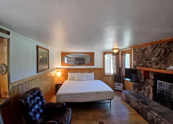 Big Bear Lake - Tulip Lane Cabin #21