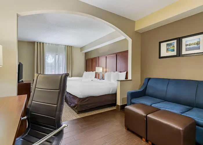 Comfort Inn & Suites Seguin