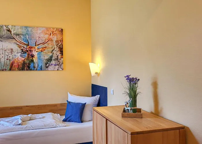 Hotels in Masserberg