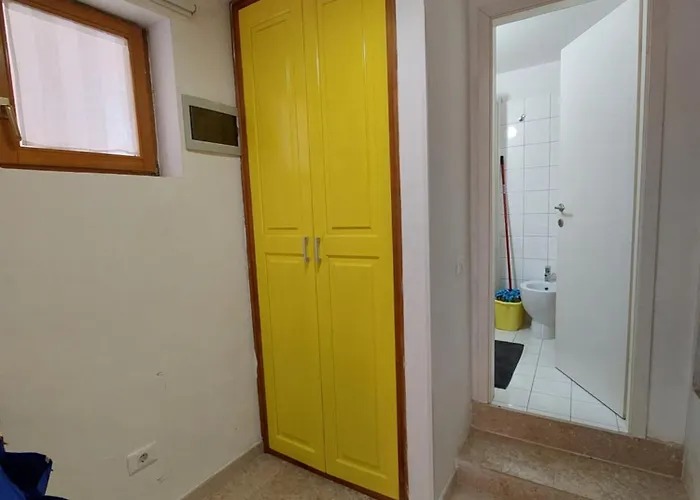 Mala Savicentska