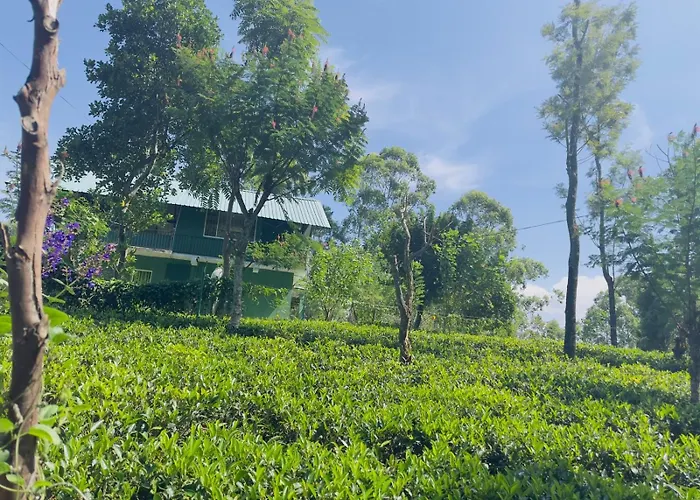 Ananda Rest-Ella
