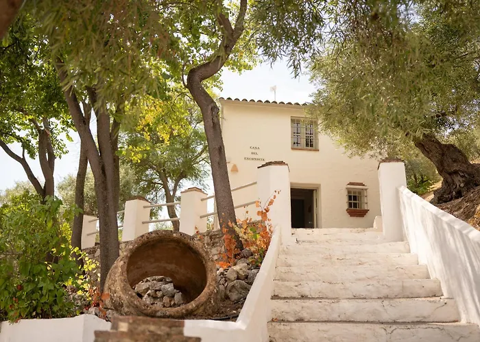Finca Solea