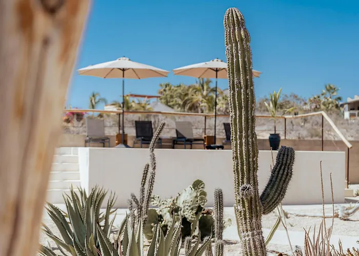 Baja Temple
