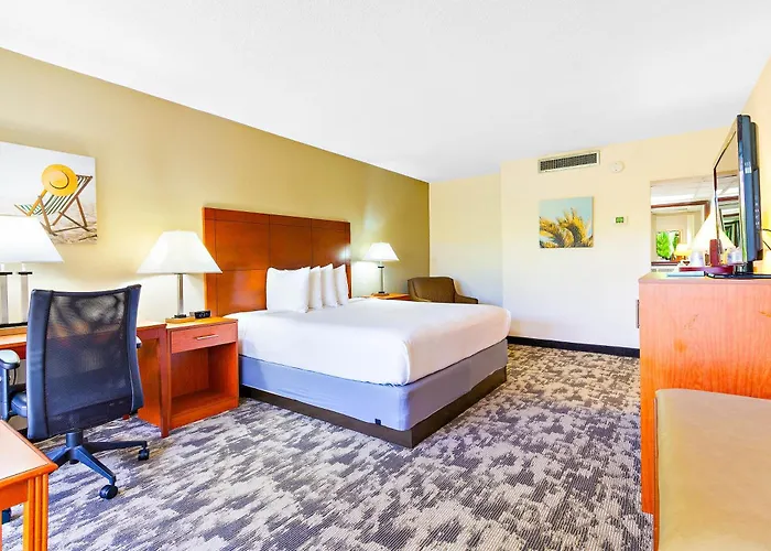 Oasis Boca Raton
