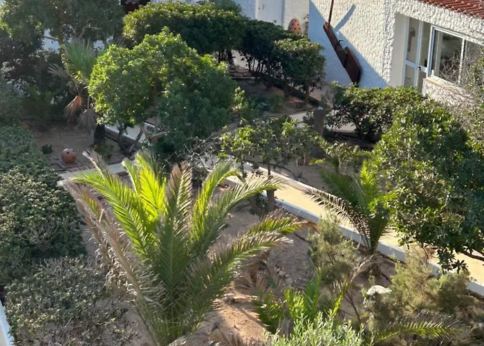 Oasi Di Casablanca