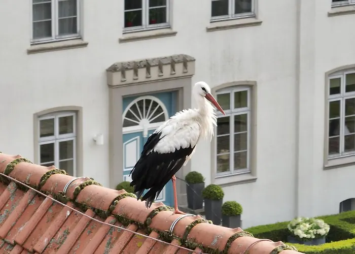 Hotel&Gästehaus Gut Kaden