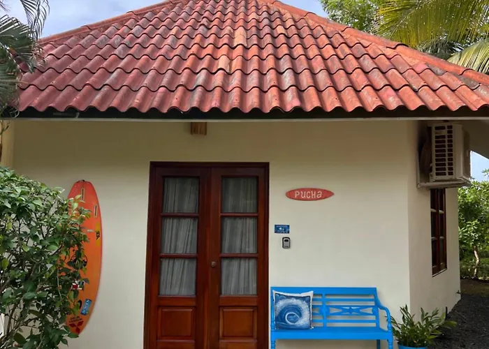 La Casa De Pucha Surf History & Tropical Stay