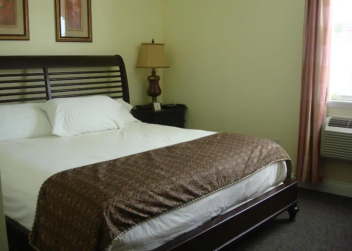 The City Hotel