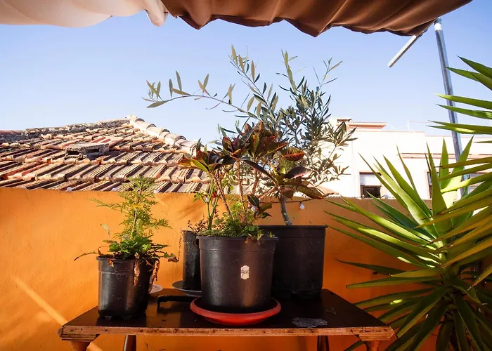 Hostel Tenerife
