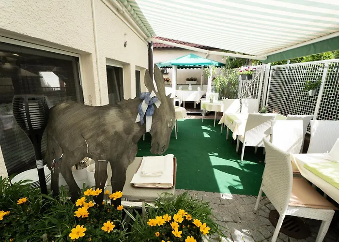 Hotel - Restaurant Traube