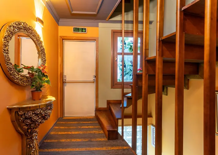 Wonder Wood Hotel