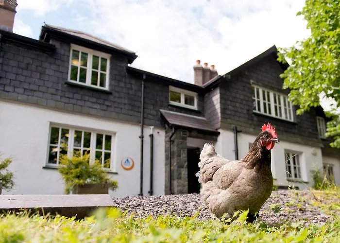 Yha Idwal Cottage
