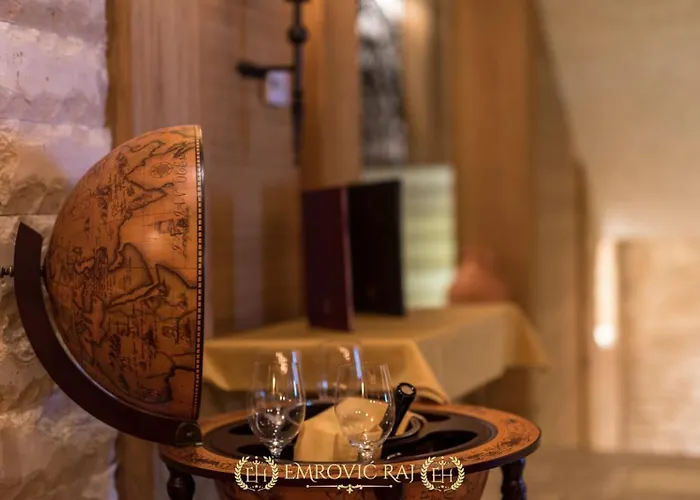 Hotel Emrovic Raj