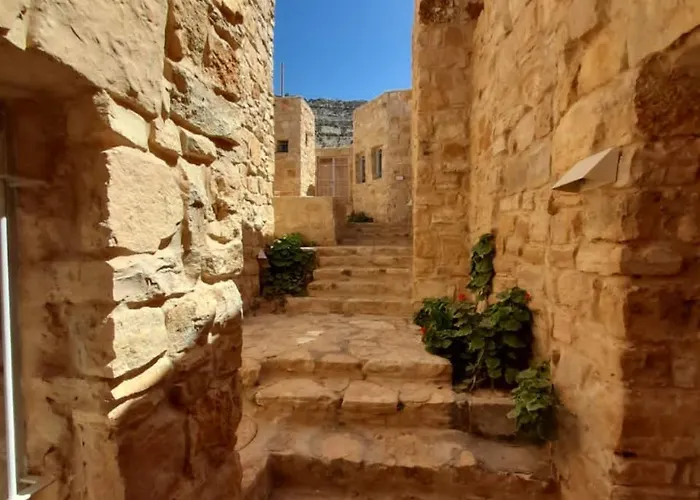 Fig Tree Hotel