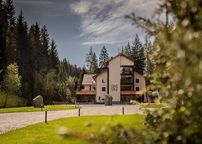 Das Erz Medical Spa & Hotel