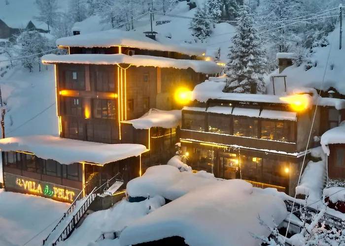 Ayder Villa De Pelit Hotel