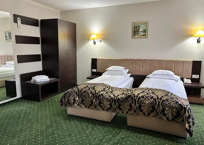 Hotel Bistrita