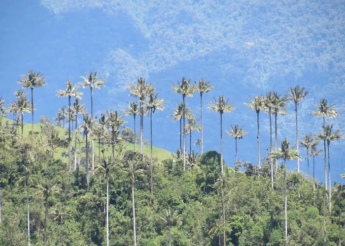 Reserva Guadalajara - Authentic Farm In Cocora Valley