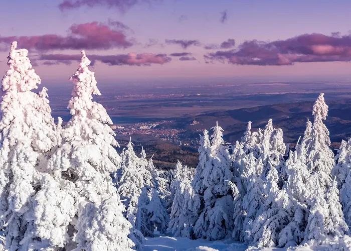 Aparthotels in Wernigerode