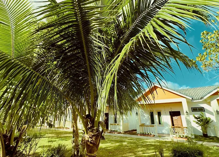Dreamz Village