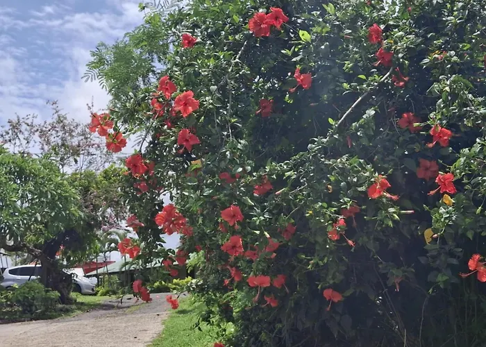 Tavua Hotel Ismail Investments