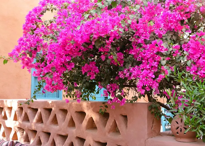 Bab Al Samawy