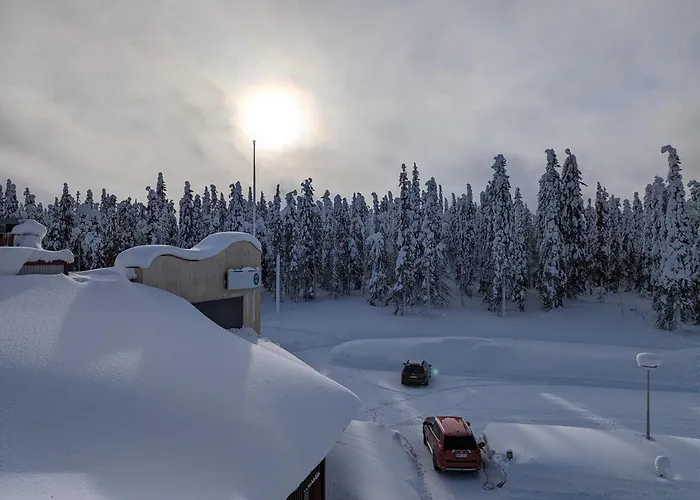 Arctic Nest Forest Cabin