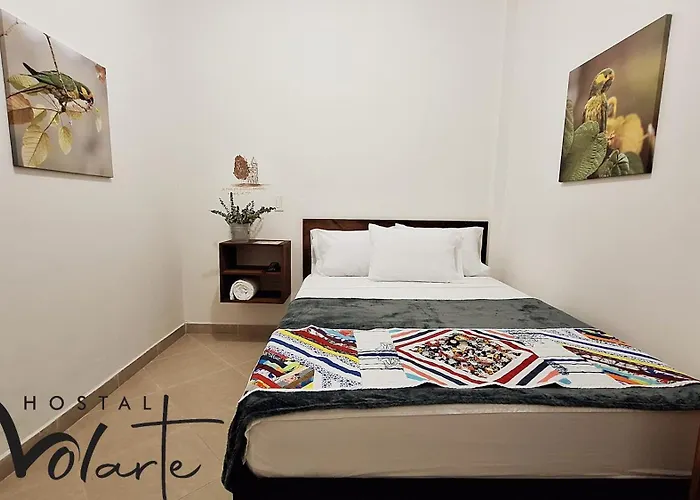 Volarte Hotel
