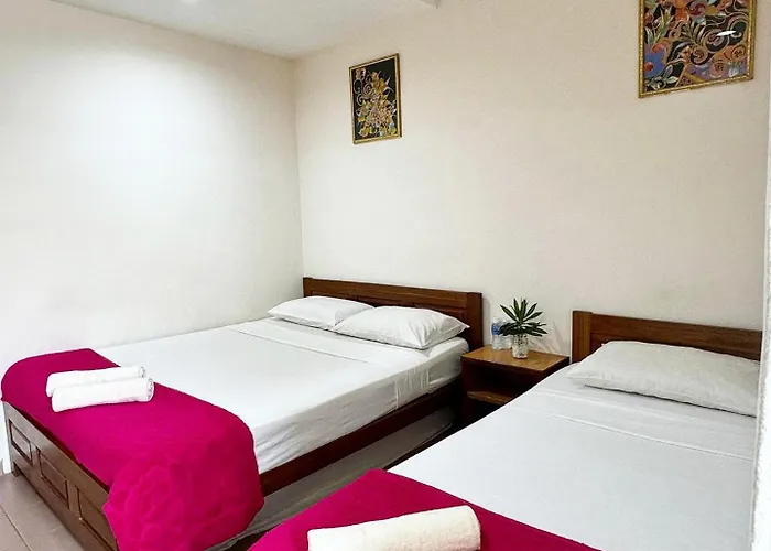 Town Inn Hotel - Rainforest