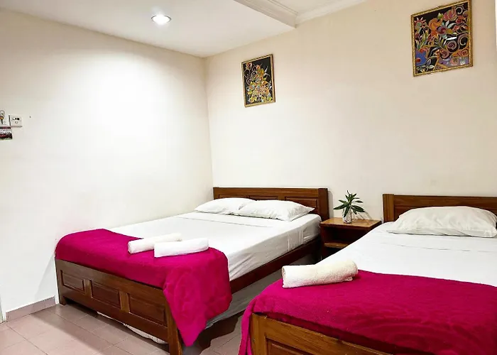 Town Inn Hotel - Rainforest