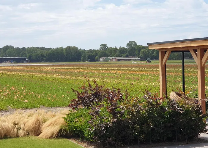 Appartementen De Wilg - Adults Only