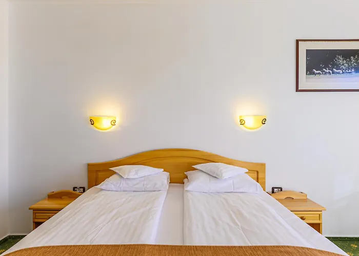 Hotel Casa Viorel Jacuzzi & Saunas