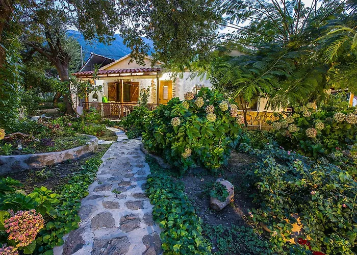 Alekas Studios