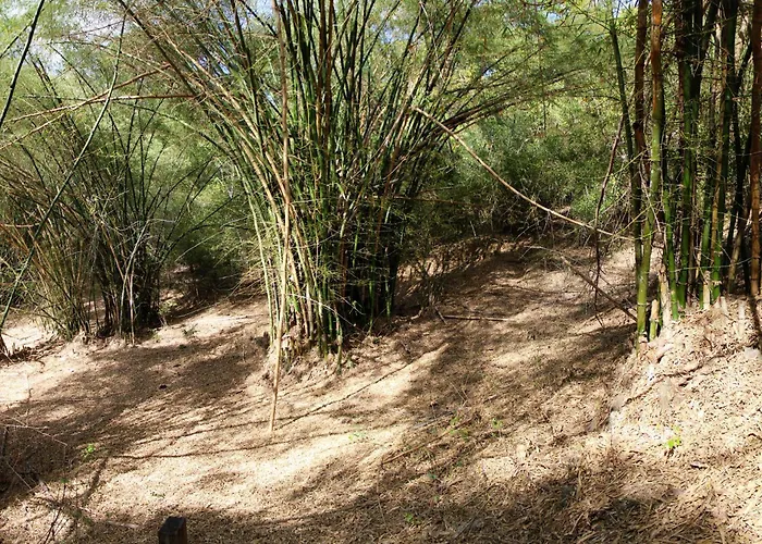 Hotéis de Conceicao de Jacuipe